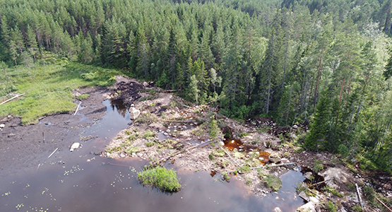 Stora Tomsjön efter genomförda miljöåtgärder