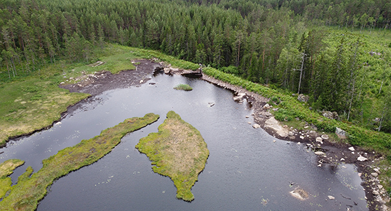 Stora Tomsjön före miljöåtgärder